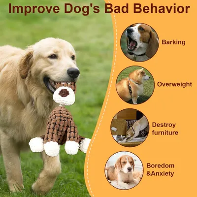 PetTribes Peluche dentaire chien - Résistante et interactive