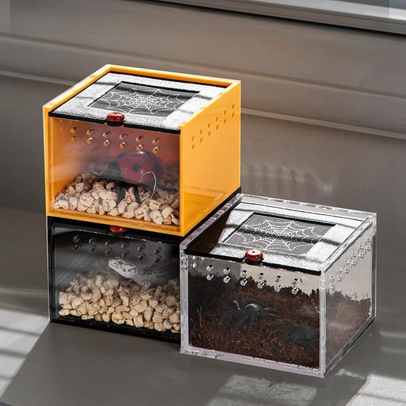 PetTribes Terrarium Mini pour Insectes/Araignées - Sécurisé