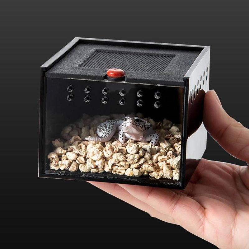 PetTribes Terrarium Mini pour Insectes/Araignées - Sécurisé