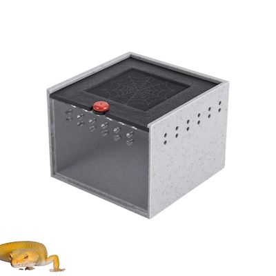PetTribes Terrarium Mini pour Insectes/Araignées - Sécurisé