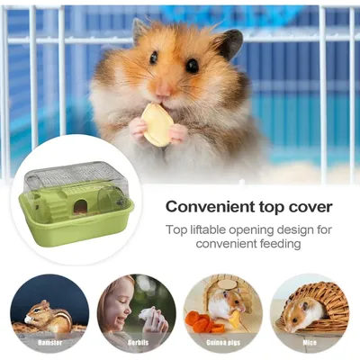 PetTribes Habitat 2 Étages pour Hamster
