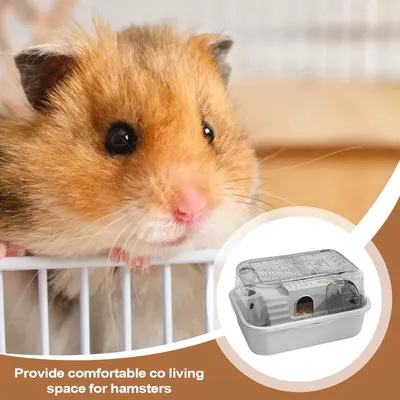 PetTribes Habitat 2 Étages pour Hamster
