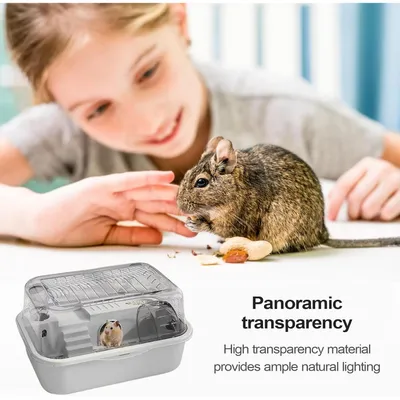 PetTribes Habitat 2 Étages pour Hamster