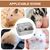 PetTribes Habitat 2 Étages pour Hamster