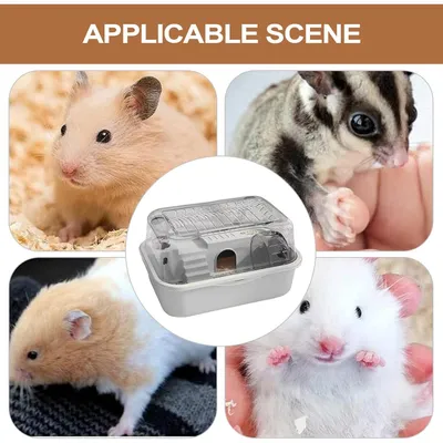 PetTribes Habitat 2 Étages pour Hamster