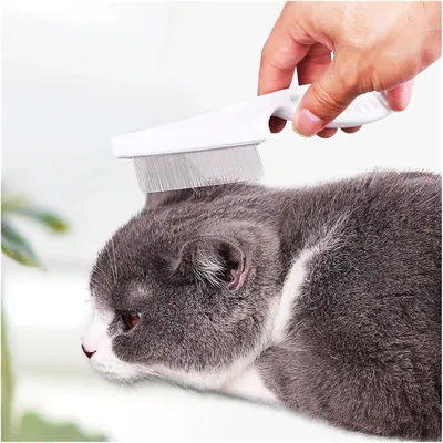 PetTribes Peigne toilettage anti-parasites acier inoxydable