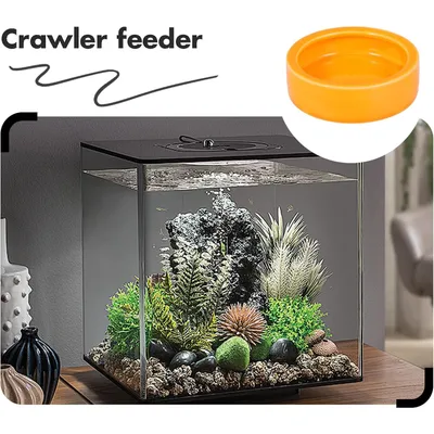 PetTribes Céramique Reptile - Sécuritaire & 2Pcs - 7x2.1cm