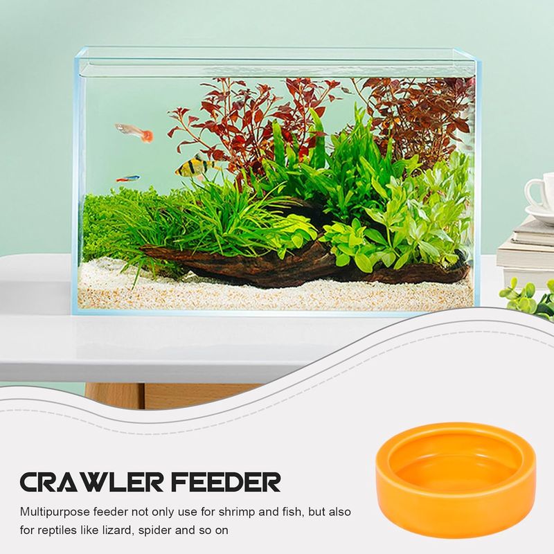 PetTribes Céramique Reptile - Sécuritaire & 2Pcs - 7x2.1cm
