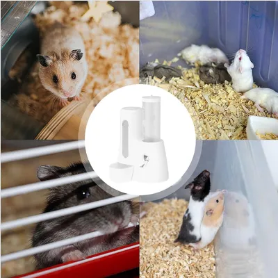 PetTribes Distributeur eau/nourriture pour rongeurs