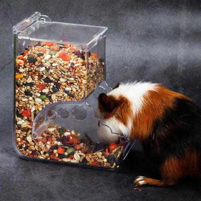 PetTribes Distributeur automatique gravité pour hamster & petits animaux