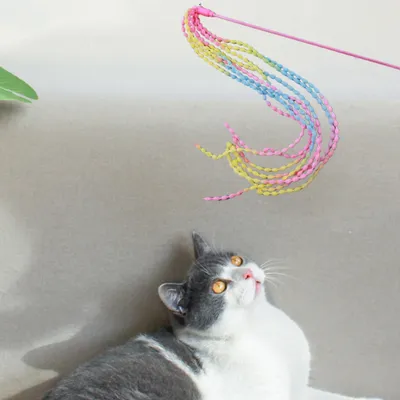 PetTribes Baguette Interactive avec Ruban pour Chat