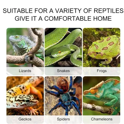 PetTribes Hamac pour reptiles - Escalade & repos