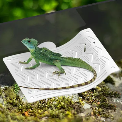 PetTribes Hamac pour reptiles - Escalade & repos