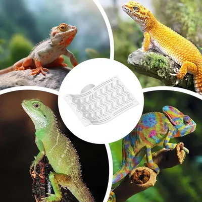 PetTribes Hamac pour reptiles - Escalade & repos