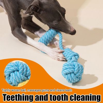 PetTribes Corde à tirer pour chiens - Taille petit/moyen