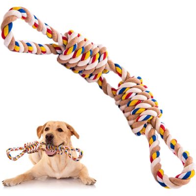 PetTribes Corde dentaire chien - 60cm durable pour petites/moyennes races