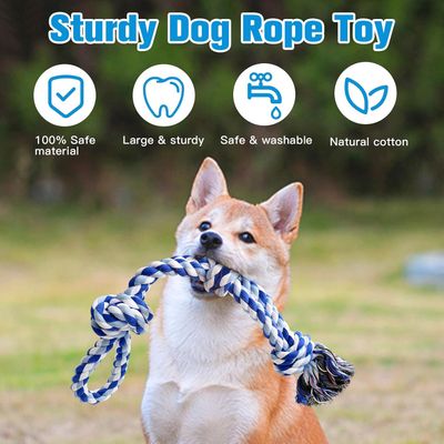 PetTribes  Corde à mâcher indestructible pour chien - 2 pièces (55cm)