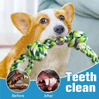 PetTribes  Corde à mâcher indestructible pour chien - 2 pièces (55cm)