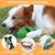 PetTribes Jouet à Mâcher avec Porte-Stick pour Chien - Nettoyant Dentaire