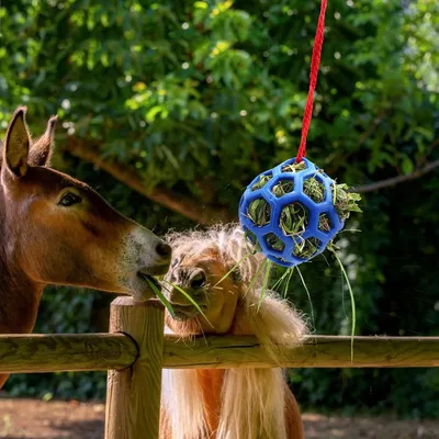 PetTribes Bolas de heno antiestrés para caballos y cabras