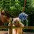 PetTribes Ballons de Foin Anti-Stress Chevaux/Chèvres