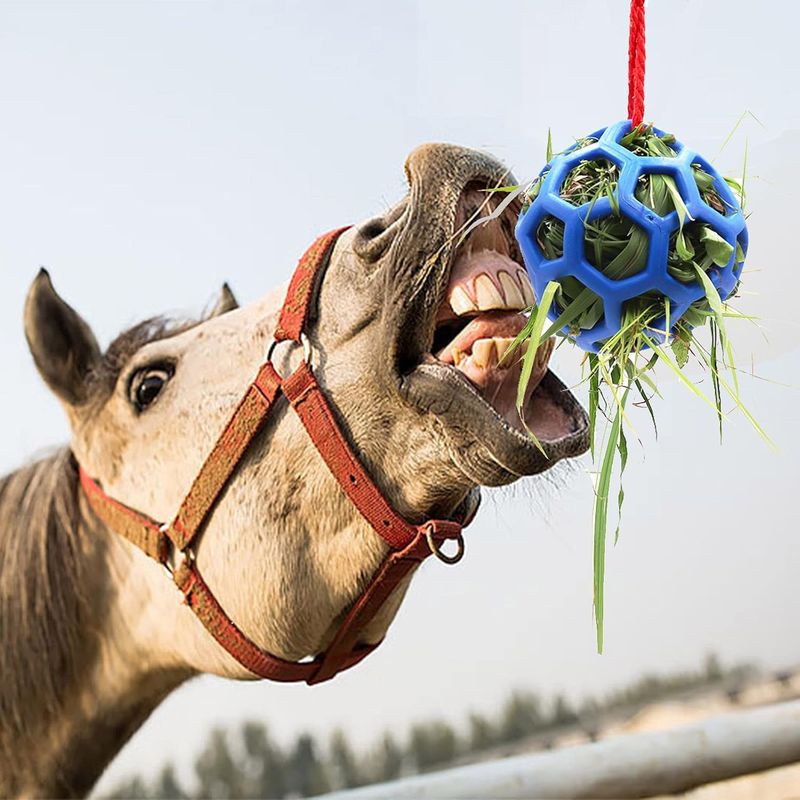 PetTribes Ballons de Foin Anti-Stress Chevaux/Chèvres