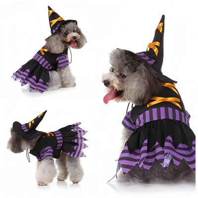 PetTribes Déguisement Sorcière pour Petit Chien