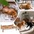 PetTribes Coussin hamac balcon-jardin pour animaux