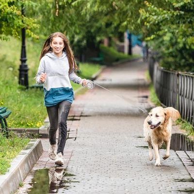 PetTribes Laisse Extensible 5m pour Chien avec Frein et Verrouillage 1 Main