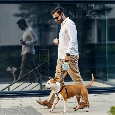 PetTribes Laisse chien rétractable 5m - Poignée ergo & frein instantané