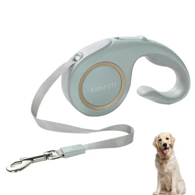 PetTribes Laisse Extensible 5m pour Chien avec Frein et Verrouillage 1 Main