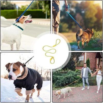 PetTribes Laisse réglable pour grands chiens - Antidérapante & solide