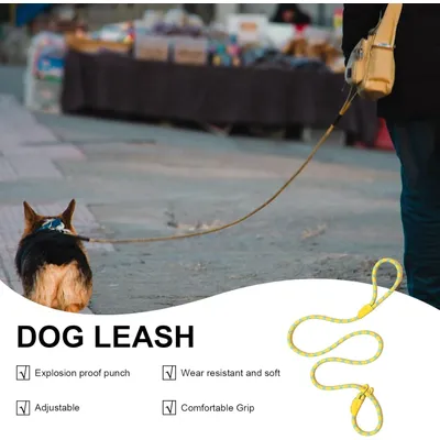 PetTribes Laisse réglable pour grands chiens - Antidérapante & solide