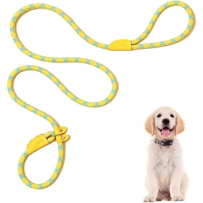 PetTribes Laisse réglable pour grands chiens - Antidérapante & solide