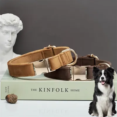 PetTribes Collier et Laisse Réglable pour Chien