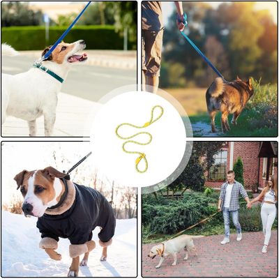 PetTribes Laisse réglable pour grands chiens - Antidérapante & solide