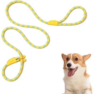 PetTribes Laisse réglable pour grands chiens - Antidérapante & solide