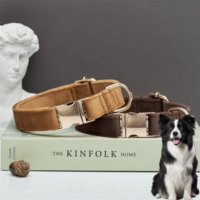 PetTribes Collier et Laisse Réglable pour Chien