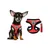 PetTribes Harnais Léger pour Chihuahua et Petit Chien PetTribes Harnais Léger pour Chihuahua et Petit Chien
