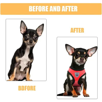 PetTribes Harnais Léger pour Chihuahua et Petit Chien