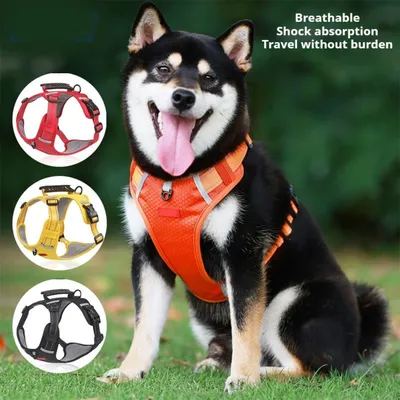 PetTribes Harnais avec poignée de contrôle pour promenade