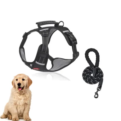 PetTribes Harnais avec poignée de contrôle pour promenade PetTribes Harnais avec poignée de contrôle pour promenade