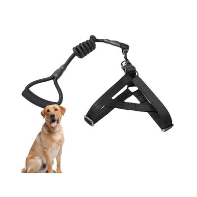 PetTribes Harnais Lasso Ajustable pour Grands Chiens - Sécurisé