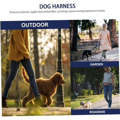 PetTribes Harnais Lasso Ajustable pour Grands Chiens - Sécurisé