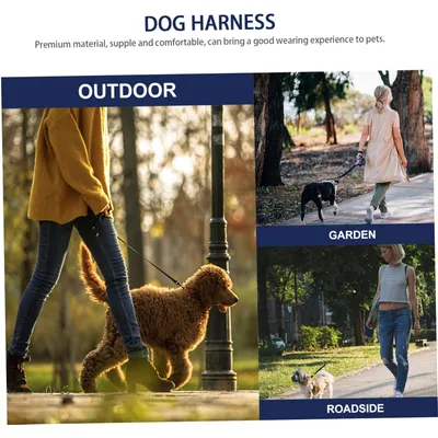PetTribes Harnais Lasso Ajustable pour Grands Chiens - Sécurisé