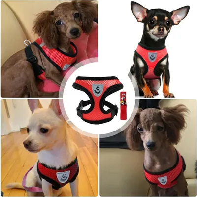 PetTribes Harnais Léger pour Chihuahua et Petit Chien