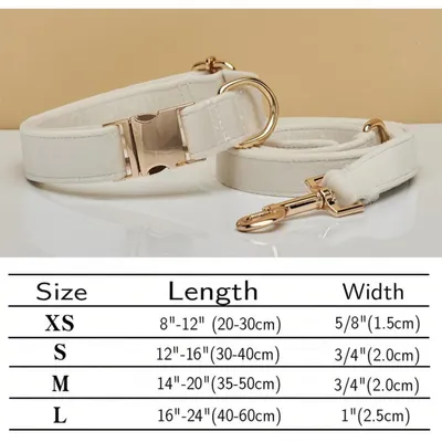 PetTribes Collier et Laisse Réglable pour Chien