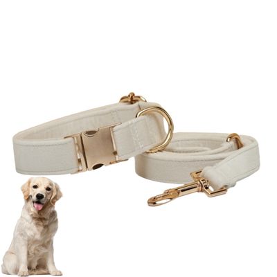 PetTribes Collier et Laisse Réglable pour Chien