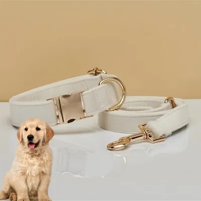 PetTribes Collier et Laisse Réglable pour Chien