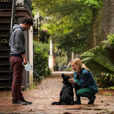 PetTribes Laisse chien rétractable 6m - Poignée ergo & frein instantané